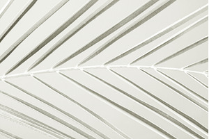 Color of 2026 year dancer in the, an Abstract Photo by Anna Efetova