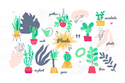 Potted Plants Bundle, a Templates & Theme by Boyko Pictures (Thumbnail 12 of 12)