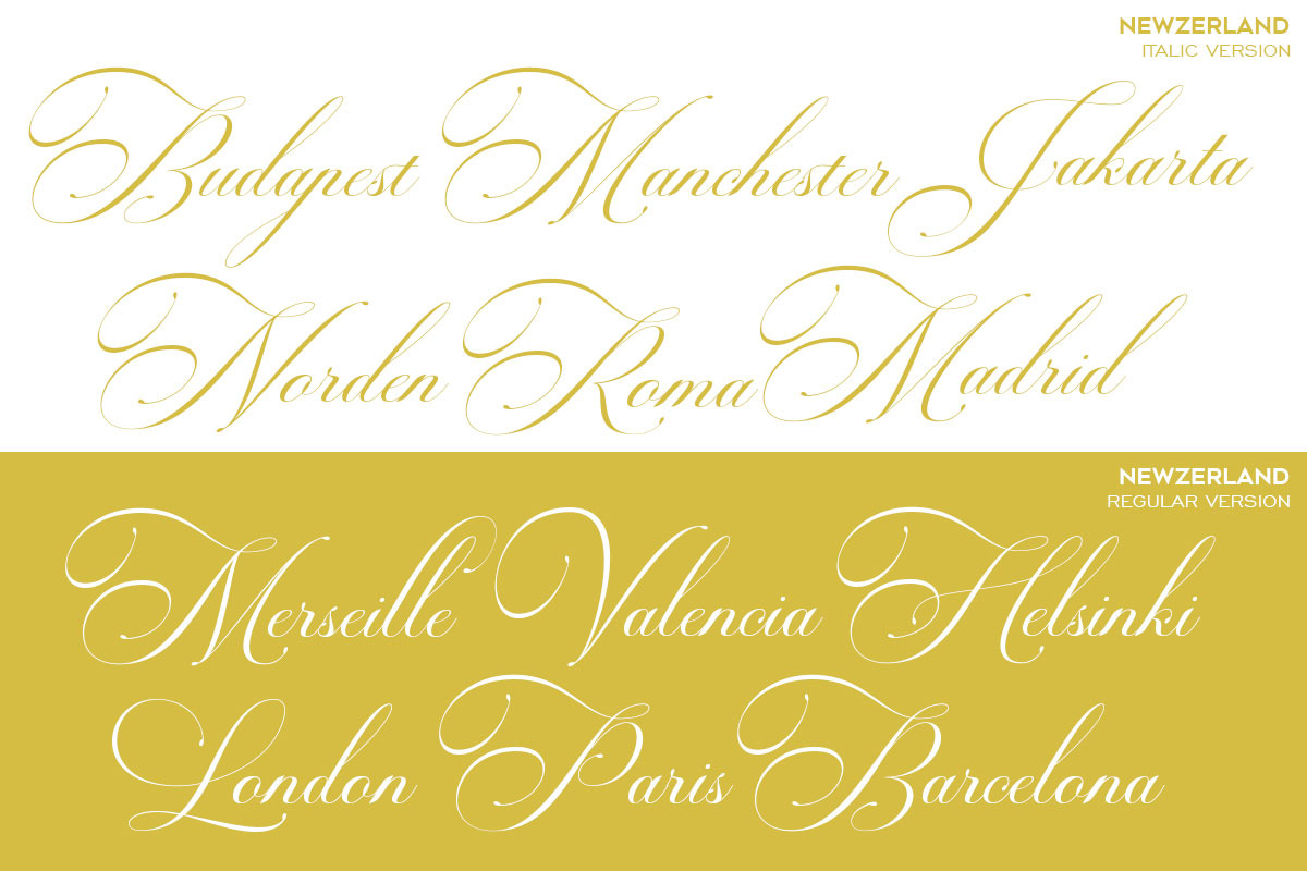 Newzerland Script, a Script Font by Romiecreative (Photo 10 of 12)