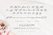 Della Brian - Lovely Wedding Font, a Script Font by Letterhend Studio (Thumbnail 9 of 9)