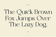 Allogist - Modern Typeface, a Serif Font by Dora Typefoundry (Thumbnail 11 of 15)