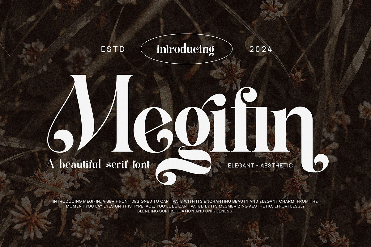 Megifin Beautiful Ligature Serif, a Serif Font by Alfinart (Photo 1 of 10)