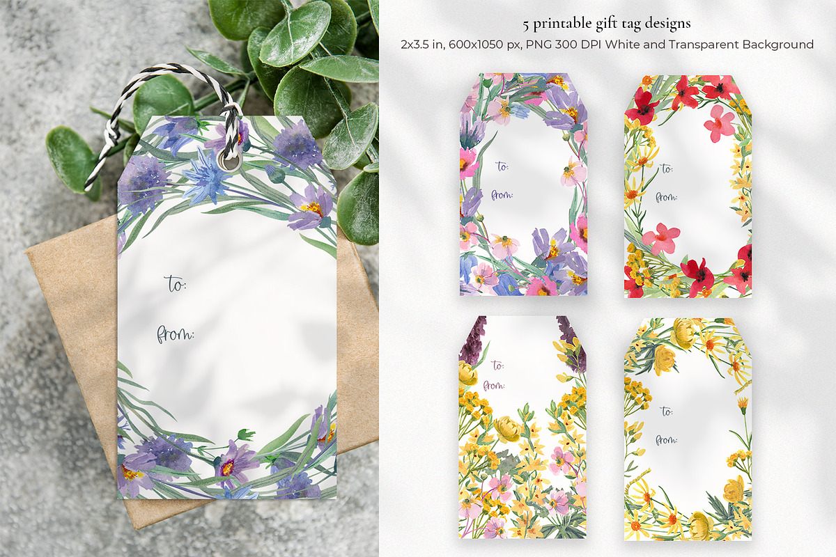 Wildflower Watercolor Collection, a Decorative Illustration by Anna Druzhkova (Photo 11 of 23)