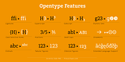 Arventa Slab Pro, a Slab Serif Font by preussTYPE (Thumbnail 6 of 10)