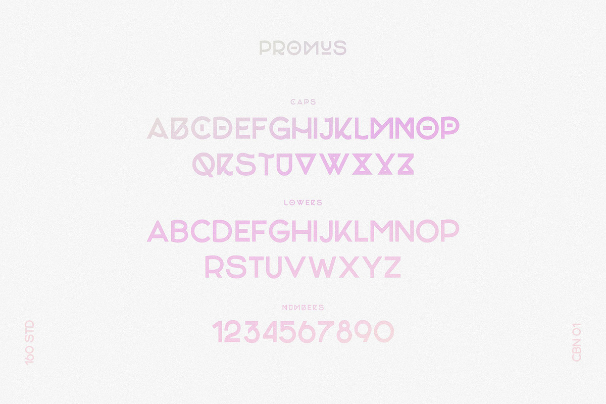 Promus Display Font, a Sans Serif Font by 160 Studio (Photo 5 of 10)