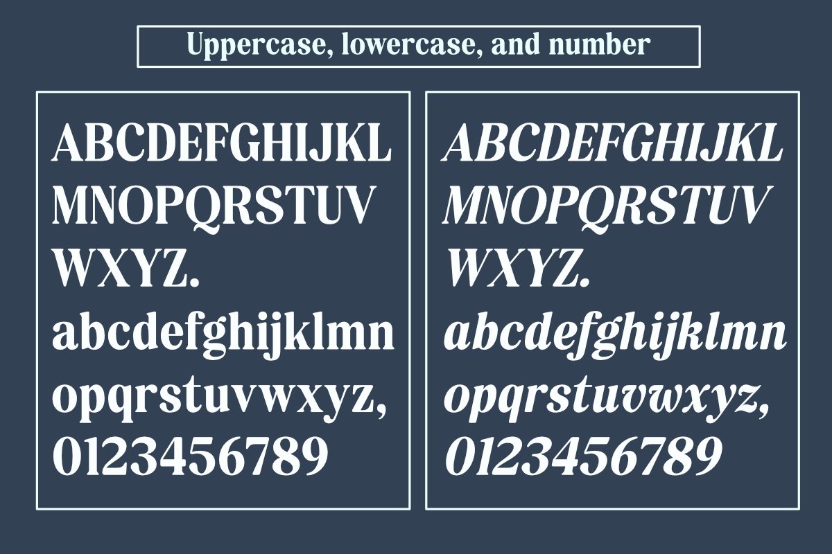 Esatis Smoothen - Serif Family, a Serif Font by Differentialtype (Photo 9 of 12)