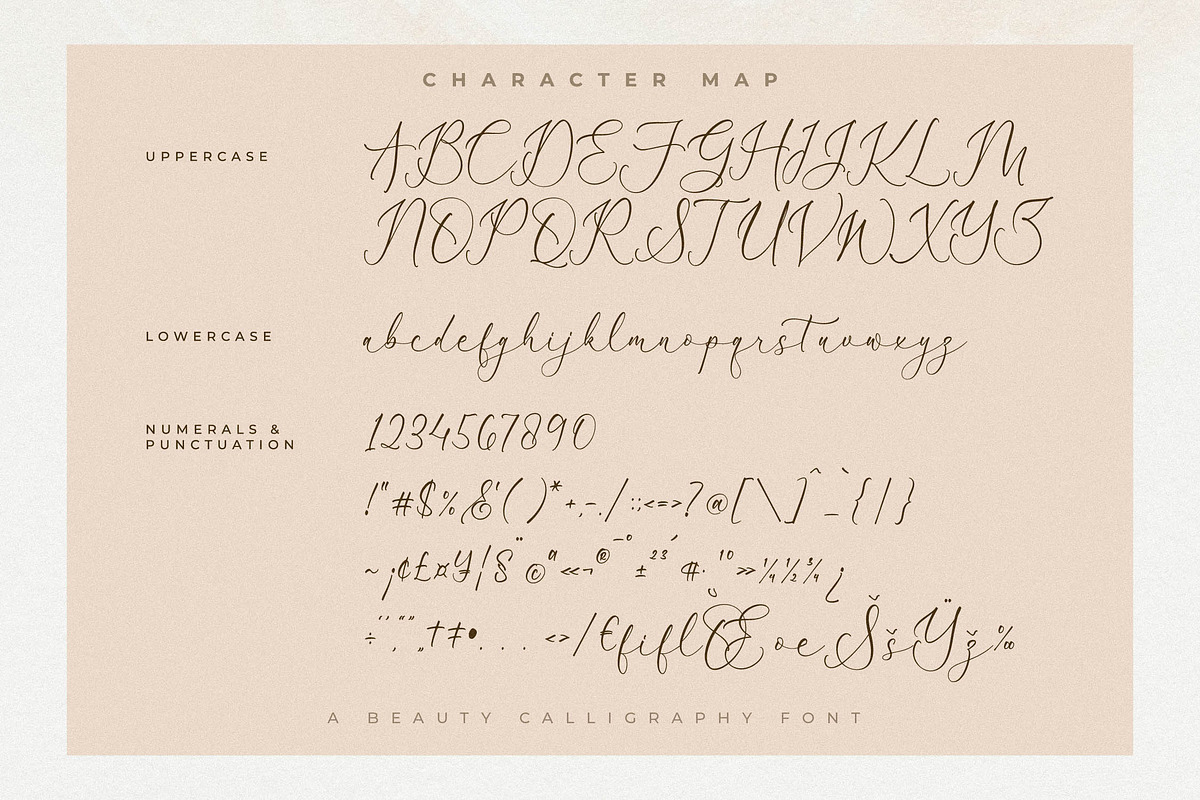 Peach Mondela Beauty Calligraphy, a Script Font by Storytype Studio (Photo 13 of 15)