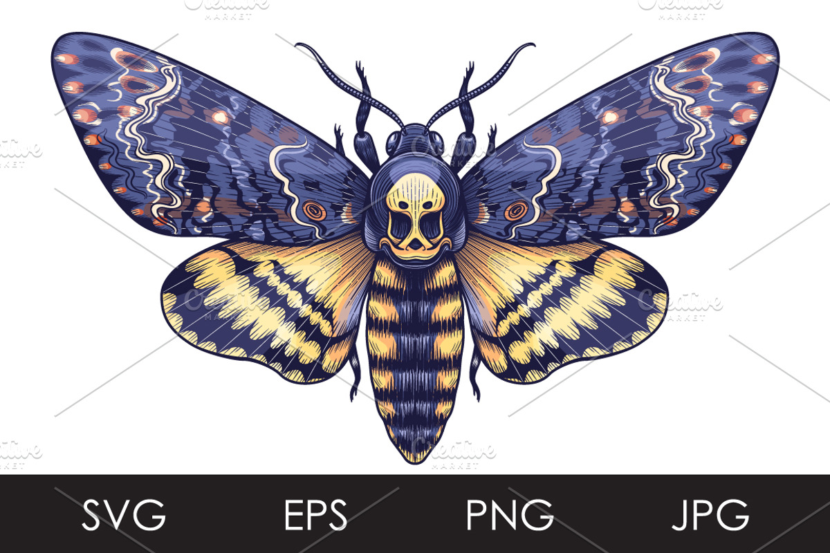 Death's-Head Hawk Moth, a Decorative Illustration by Valentyna Smordova
