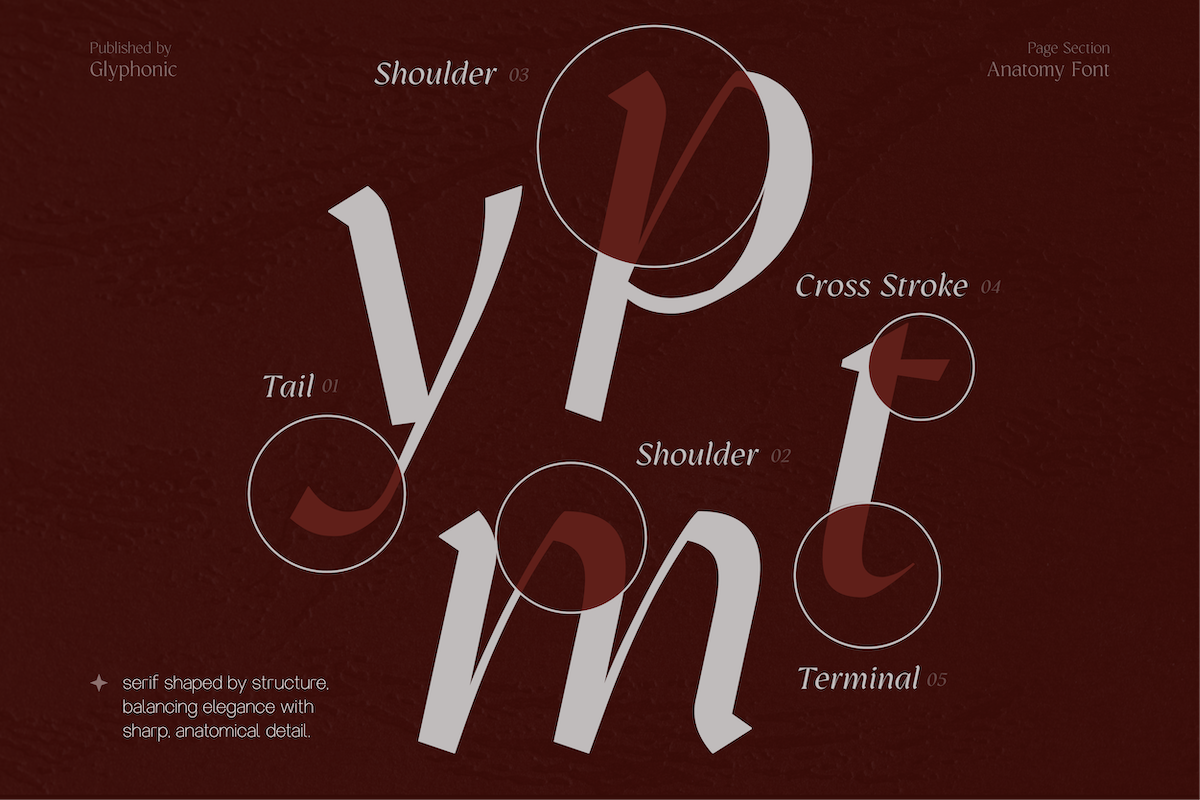 GC Prometheus – Serif Family, a Serif Font by Glyphonic (Photo 2 of 15)