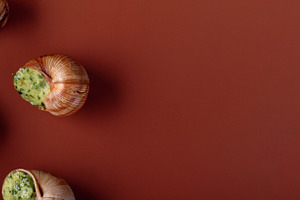 Gourmet escargot in shells with parsley herb butter, arranged on, a Food & Drink Photo by Ales Munt