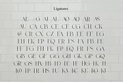 Roylles | Ligature Stylish, a Serif Font by Muntab_Art (Thumbnail 11 of 13)