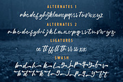 Debtos - Script, a Script Font by Inspiratype (Thumbnail 8 of 11)