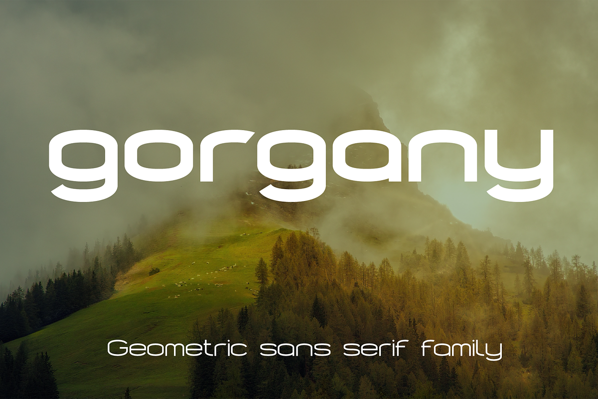 Gorgany font family, a Sans Serif Font by vlad.berla (Photo 1 of 8)