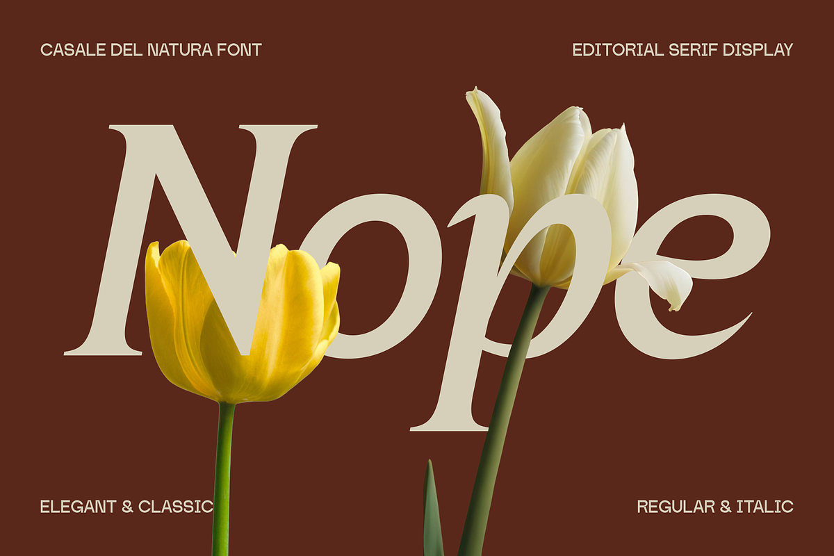 Casale Del Natura Font, a Serif Font by Marvadesign (Photo 3 of 13)
