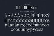 Qestrafin Modern Serif Font, a Serif Font by Letterena Studios (Thumbnail 14 of 15)