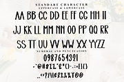 Romance, a Script Font by FreshTypeINK (Thumbnail 7 of 7)