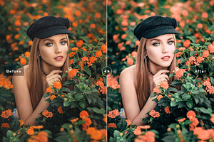 Perfect Colors Pro Lightroom Presets