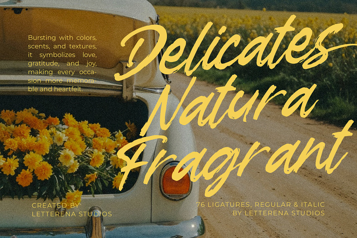 Garden Solland Bold Handwritten Font, a Script Font by Letterena Studios Script (Photo 6 of 15)