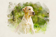 Realistic Watercolor Paint Effect, an Action Add-On by liptouse (Thumbnail 7 of 11)