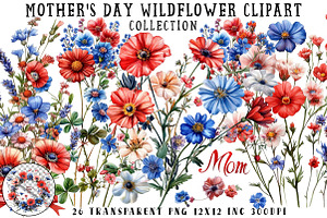 Mother’s Day Wildflower Clipart, an Illustration by OK Design