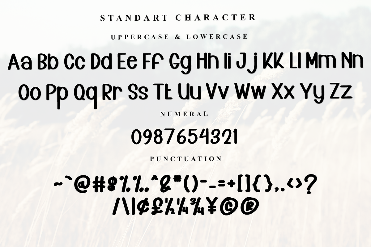 Morning Cowboy, a Serif Font by FreshTypeINK (Photo 5 of 7)