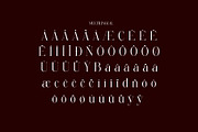 Replice Modern Elegant Serif, a Serif Font by Alfinart (Thumbnail 9 of 11)