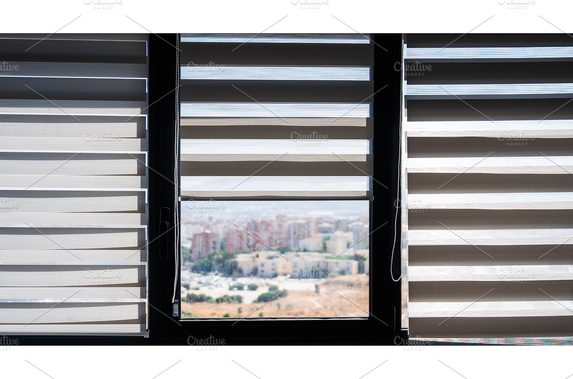 Modern Interior Window With Zebra, an Architecture Photo by volodymyrshtun13795