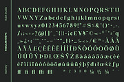 Galnery, a Serif Font by Suza Studio (Thumbnail 12 of 13)