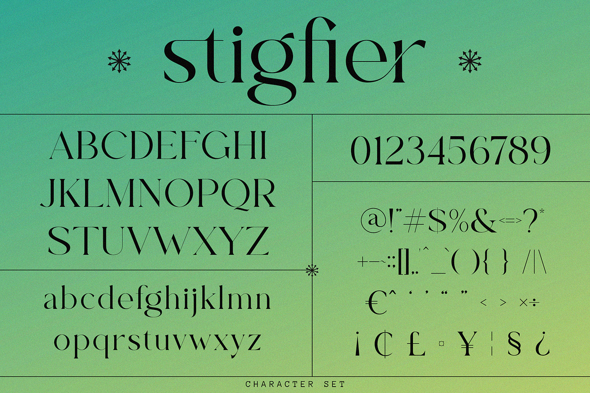 Stigfier Modern Serif Typeface, a Serif Font by Font Kingdom (Photo 3 of 5)