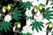 Watercolor toucan patterns, a Pattern Graphic by ramika (Thumbnail 4 of 5)
