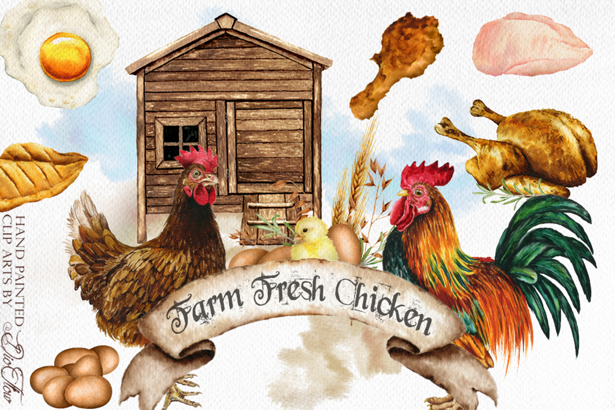 Farm Chicken Watercolor Illustration, a Decorative Illustration by DioFlow (Photo 1 of 7)