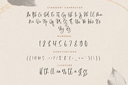 Monday Script, a Script Font by Flawless And Co (Thumbnail 6 of 8)