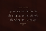 Asemok Elegant Serif Font, a Serif Font by Graphicxell (Thumbnail 7 of 8)