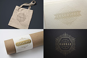 250 ornaments logos & monograms, a Branding & Logo Template by Vasya Kobelev (Thumbnail 16 of 23)