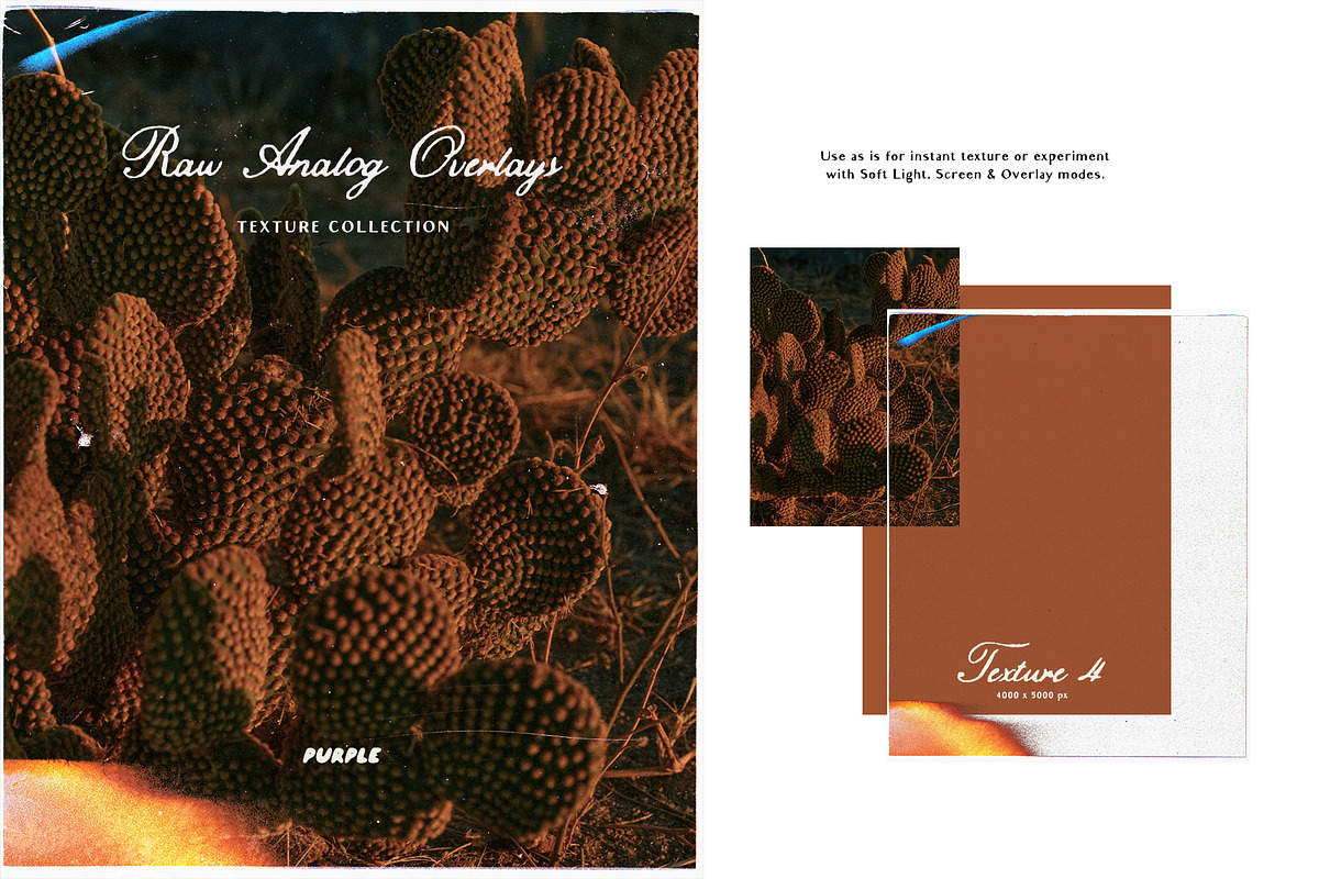 Raw Analog Texture Overlays, a Texture Graphic by Purple (Photo 8 of 31)
