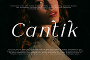 Paseon Simple & Stylish Serif Font, a Serif Font by BOOSH Studio (Thumbnail 5 of 13)