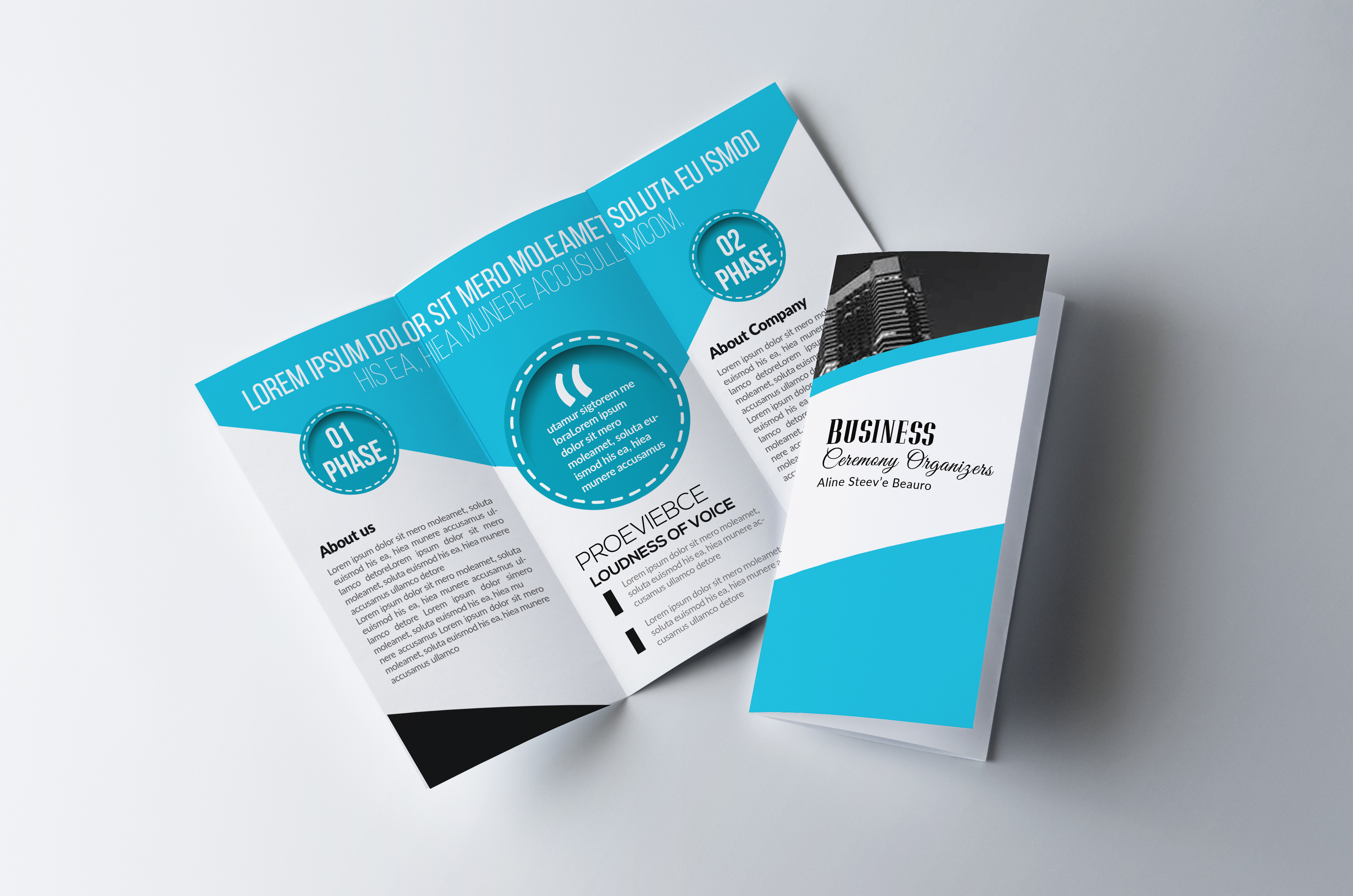 Corporate Tri Fold Brochure, a Brochure Template by Business Flyers