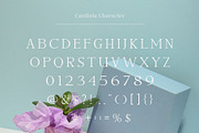 Cardiola - Modern Stylish Serif, a Serif Font by TypeLogue (Thumbnail 4 of 5)