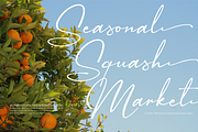 Sagara Amirenja | Classic Signature, a Script Font by Denustudios (Thumbnail 2 of 12)