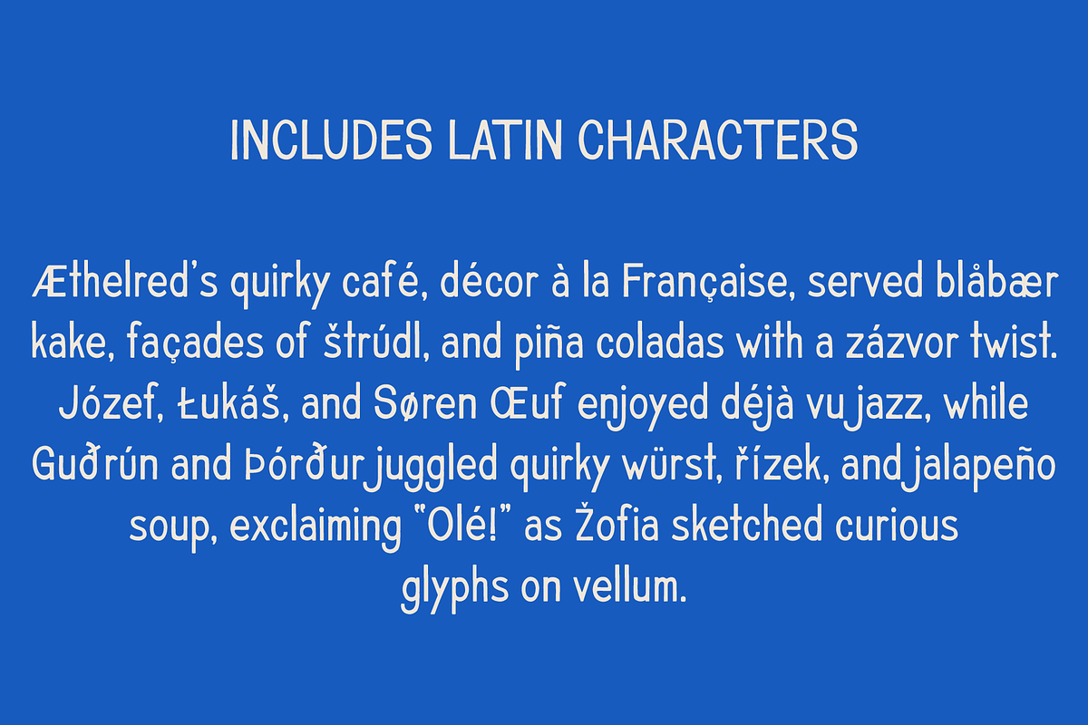 DW Miller Vintage Font Family, a Sans Serif Font by Walker Design Co. (Photo 5 of 10)