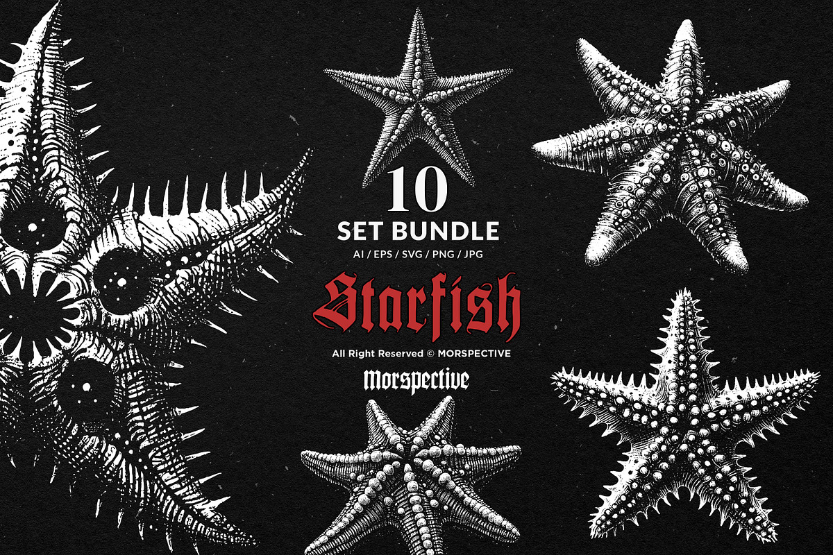 10 Bundle Dark Art Starfish Ocean, an Illustration by Morspective (Photo 1 of 7)