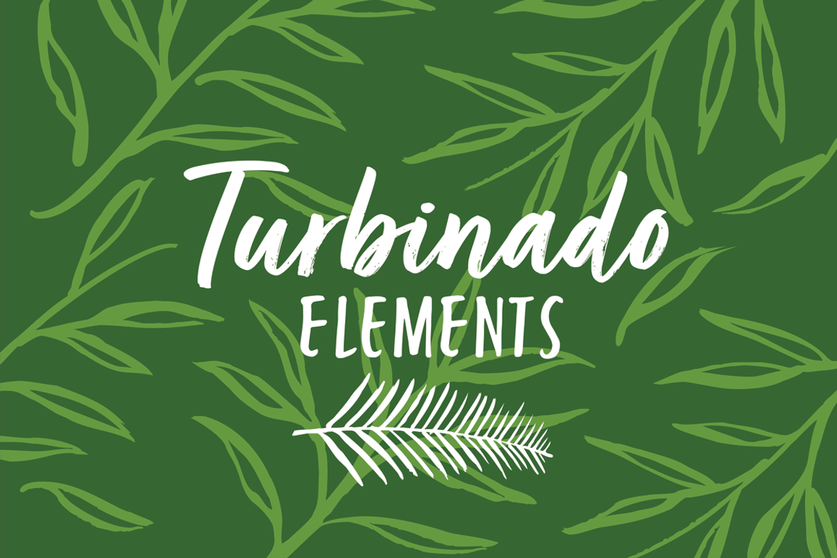 Turbinado Set, a Script Font by Aerotype (Photo 19 of 28)
