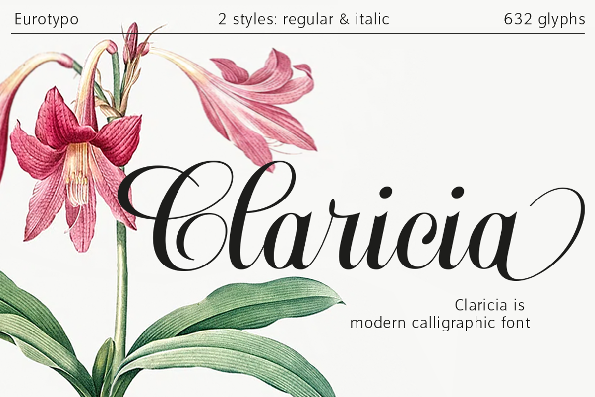 Claricia Family, a Handwritten Font by Eurotypo (Photo 1 of 8)