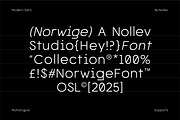 Norwige – Modern Geometric Sans, a Sans Serif Font by Nollev (Thumbnail 5 of 11)