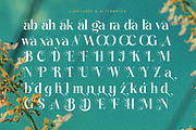 Dudga Baloval Elegant Serif Font, a Serif Font by timelesstype.co (Thumbnail 19 of 20)