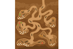 An anthill. Ants in burrows, an Animal Illustration by Things for designers