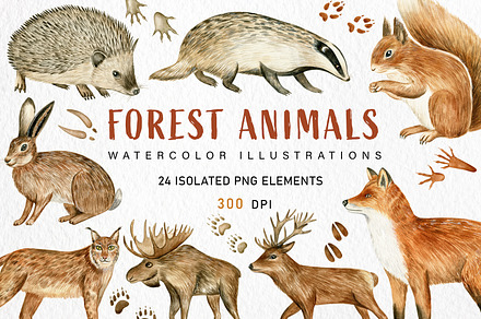 Forest Animals preview 2