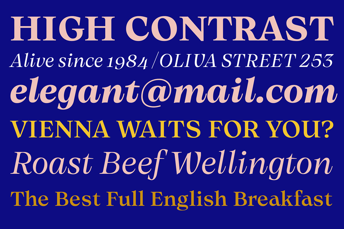 Olin, a Serif Font by Sudtipos (Photo 1 of 7)