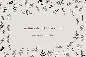 Botanical Hand Drawn Illustrations
