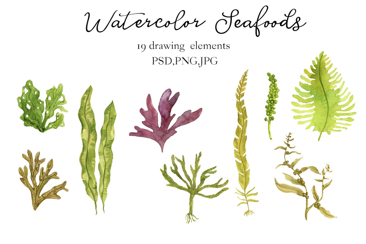 Watercolor Seafoods, a Food Illustration by cat_arch_angel (Photo 3 of 5)